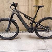 E-Mountain bike Whistle B-Rush C4.1 Olympia 