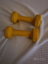 Coppia Manubri Fitness 1kg Proteus Gialli