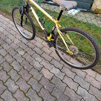 bici mtb