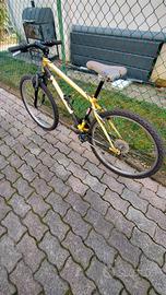 bici mtb