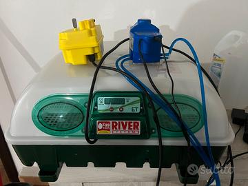 Covatrice incubatrice River System 49 automatica