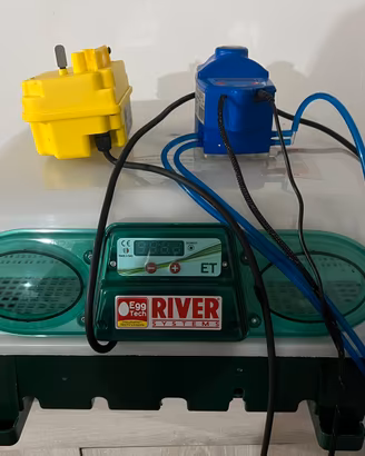 Covatrice incubatrice River System 49 automatica