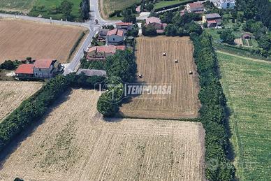 Lotto agricolo di 6000mq