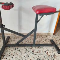 Panatta Panca Romana