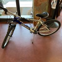 mountain bike Carnielli ADX 700.