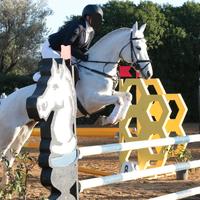 Femmina pony da salto ostacoli BP100/110