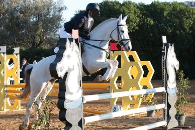 Femmina pony da salto ostacoli BP100/110