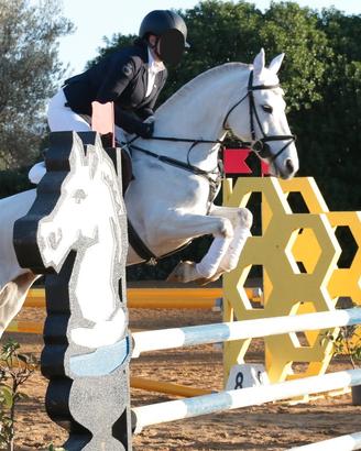 Femmina pony da salto ostacoli BP100/110