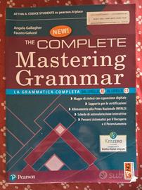 mastering grammar