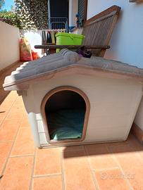 cuccia cane