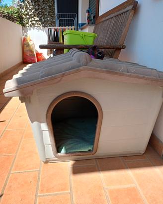cuccia cane