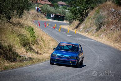 Peugeot 205