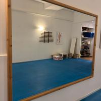 Specchi per palestra