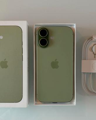 iPhone 17 256GB verde pari al nuovo – batteria 100