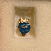 Distintivo dell'Associazione Arma Aeronautica