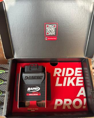 RapidBike Racing 2 Duke 990/R 2024-2026