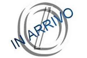 Lancia Ypsilon 1.2 mhev LX 100cv e-dct