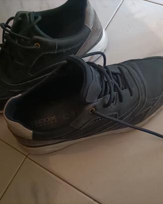 Scarpe Geox numero 43 in buono stato