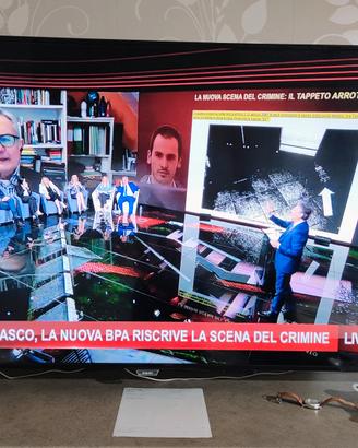 Smart TV Philips 65 pollici 