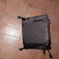 radiatore downtown 300i