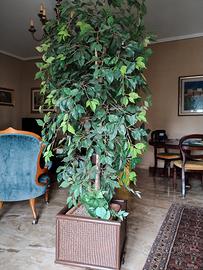pianta finta  Ficus Beniamino 
