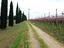 Immagine 2