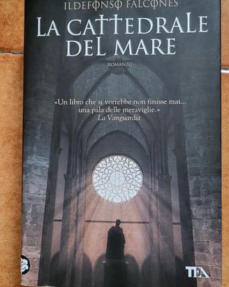 romanzo "La cattedrale del mare "