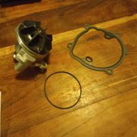 Pompa acqua Valeo Renault/Opel
