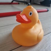 Paperella di gomma quack!