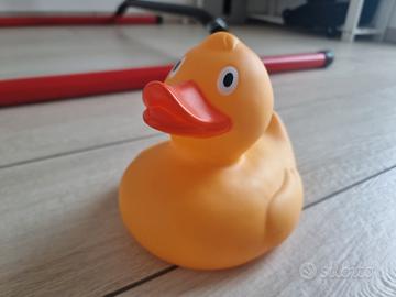 Paperella di gomma quack!
