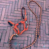 Capezza Umbria equitazione e lunghina