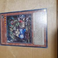 Carta Yu Gi Oh Trappolatrice Dionaea