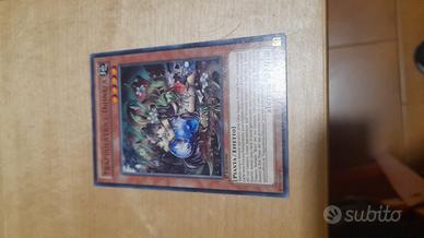 Carta Yu Gi Oh Trappolatrice Dionaea