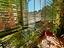 Immagine 15