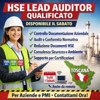 HSE manager lead auditor