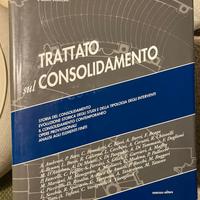 Trattato sul Consolidamento - P. Rocchi - Mancosu