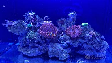 Plafoniera AQUAMEDIC AQUARIUS 60