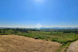 TER. AGRICOLO A SALUDECIO