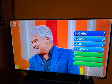 TV Sony Bravia 42 pollici 