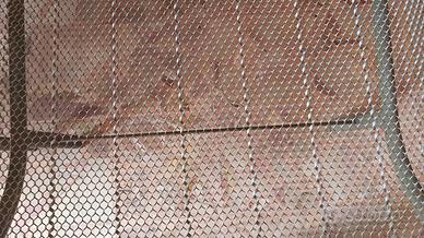 Due reti singole + materassi artigianali in lana