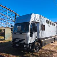 van trasporto 6 cavalli
