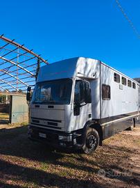 van trasporto 6 cavalli