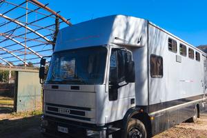 van trasporto 6 cavalli