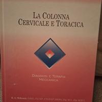 la colonna cervicale e toracica