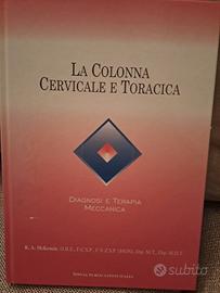 la colonna cervicale e toracica