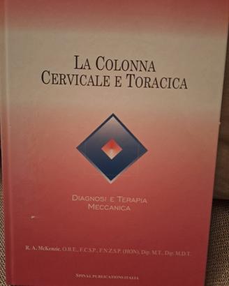 la colonna cervicale e toracica
