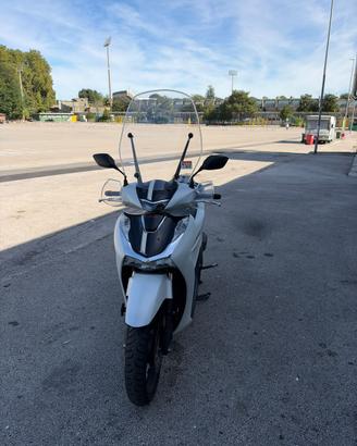 sh 150 versione sport anno 2023