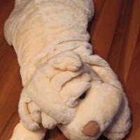 cane peluche gigante 