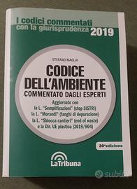 codice dell'ambiente 2019