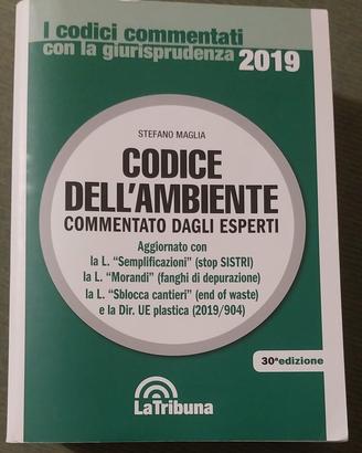 codice dell'ambiente 2019
